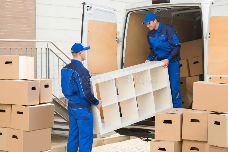 Professional Packing